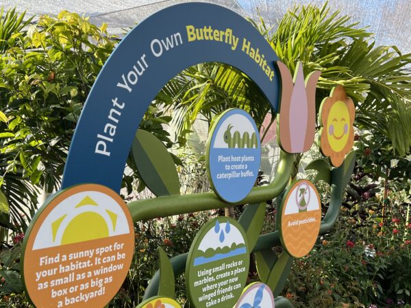 Informative displays help you learn about butterflies and their environments. 