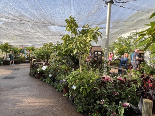 The area is enclosed in a mesh-like tent.