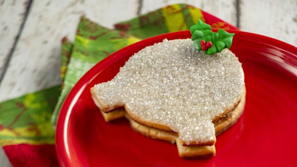 Salted Caramel Spaceship Earth Cookie