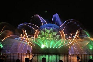 EPCOT New Year's Eve