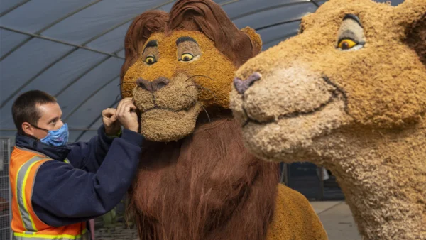 Photo credits (C) Disney Enterprises, Inc. All Rights Reserved