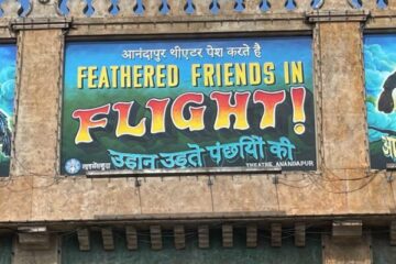 Feathered Friends in Flight. Photo Credits © Disney Enterprises, Inc. All Rights Reserved.