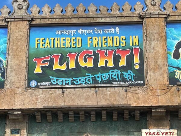 Feathered Friends in Flight. Photo Credits © Disney Enterprises, Inc. All Rights Reserved.