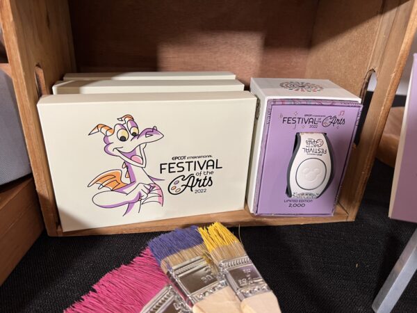 Figment cards and MagicBand.