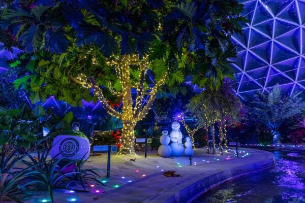 Photo Credit © Disney Enterprises, Inc. All Rights Reserved. 