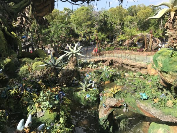 Just imagine what this looks like at night!