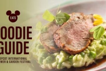 Photo Credit © Disney Enterprises, Inc. All Rights Reserved.