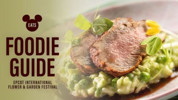 Photo Credit © Disney Enterprises, Inc. All Rights Reserved.