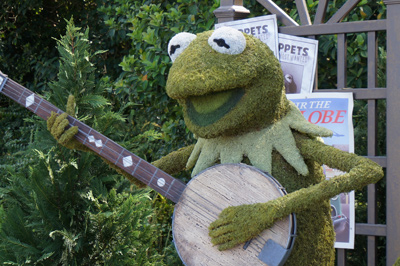 Welcome Kermit to the Epcot topiaries!