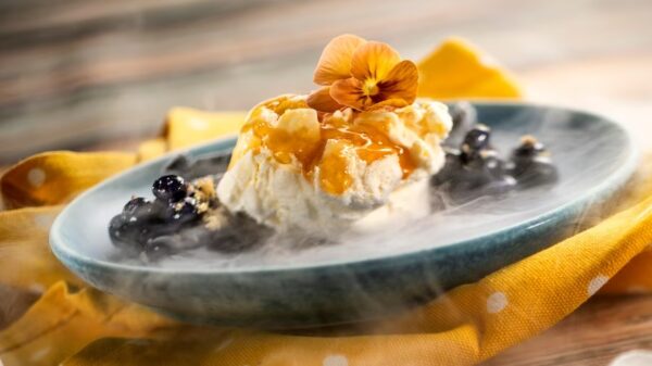 Photo Credit © Disney Enterprises, Inc. All Rights Reserved.