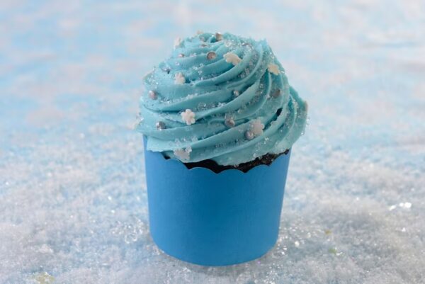 Photo Credit © Disney Enterprises, Inc. All Rights Reserved.