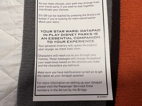 The datapad (part of the My Disney Experience app on your phone) is key to your experience.
