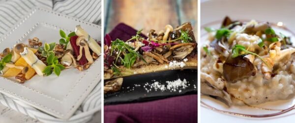 Photo Credit © Disney Enterprises, Inc. All Rights Reserved.