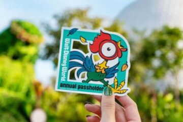 Photo Credit © Disney Enterprises, Inc. All Rights Reserved.