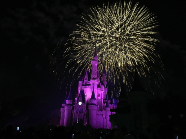 The Tomorrowland Terrace offers excellent view of the castle with small crowds.