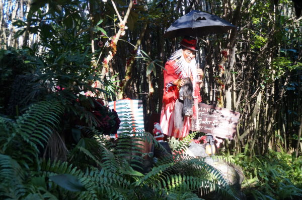 One of Trader Sam's shrunken heads is a close resemblance of Katharine Hepburn.