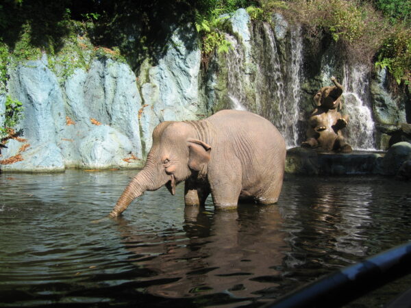 Get ready for an adventure!