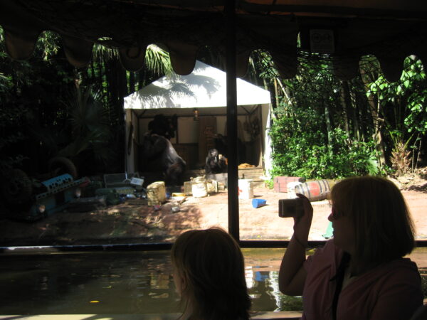 Corny jokes and fun scenes make for a good time.