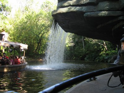 You get a chance to see the "back side of water" on the cruise.