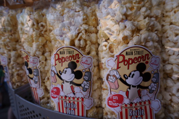 it's not a theme park visit without popcorn!