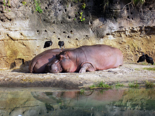 It took Disney Imagineers a long time to design this attraction.