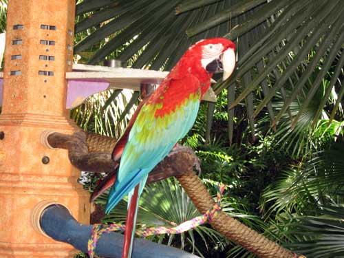 Take time to explore!