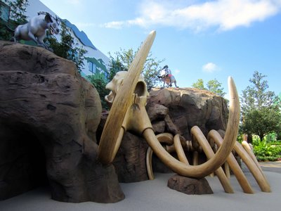 The play area features a soft floor covering and plenty of bones to climb.