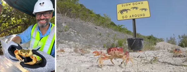 Photo Credit © Disney Enterprises, Inc. All Rights Reserved.