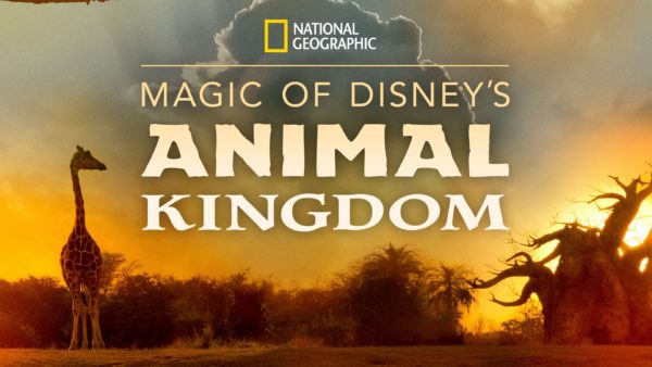 Trailer For Magic of Disney's Animal Kingdom Show Coming to Disney+ (Video)  – World Of Walt