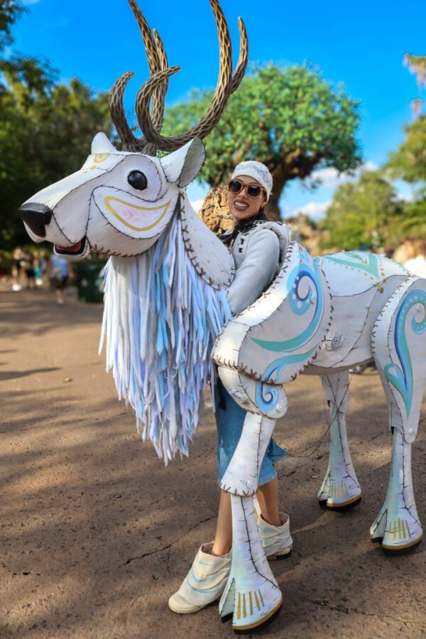 Animal Puppets in Merry Menagerie