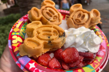 Waffle Platter at Hollywood Scoops
