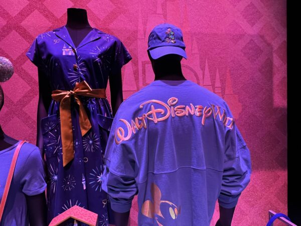 Walt Disney World spirit jersey.