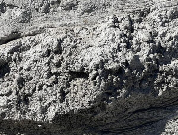 Journey of Water Inspired by Moana rockwork sculpting. Photo Credits @ Disney Enterprises, Inc. All Rights Reserved.