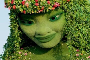 Photo credits (C) Disney Enterprises, Inc. All Rights Reserved