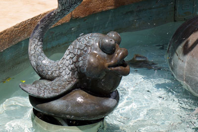 Fun fish watch all the crazy excitement.