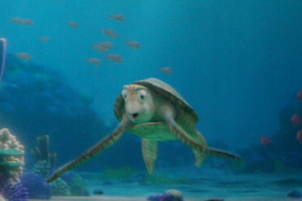 Turtle Talk with Crush is more educational than The Seas with Nemo and Friends, and there's hardly ever a wait except for the next show.