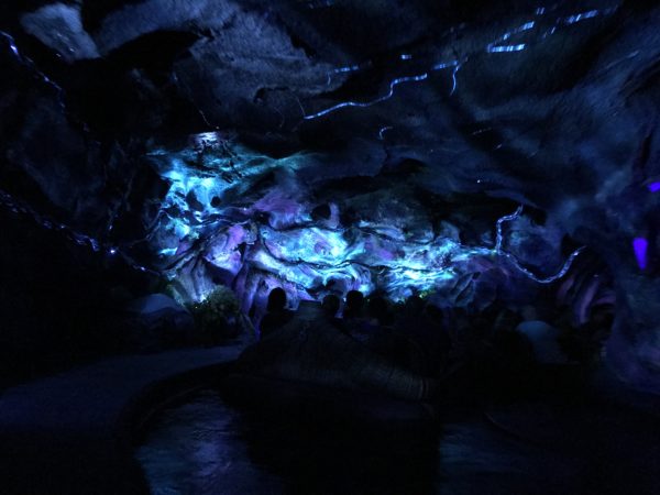 Na'vi River Journey is beautiful, and you should definitely see it, but getting a FastPass will prevent you from waiting very long and save your waiting time for Flight of Passage.