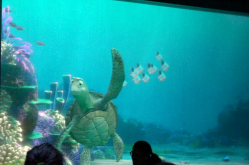 Turtle Talk - awesome!