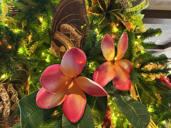 The tree showcases beautiful tropical flowers.