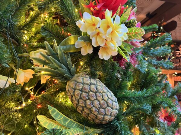 Pineapples in the tree!