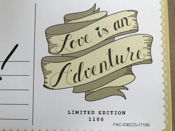 Love is and Adventure Limited Edition Pin pack.