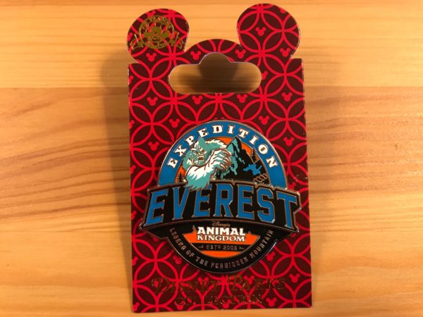Expedition Everest in Disney's Animal Kingdom!