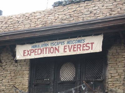 Rides in Animal Kingdom Everest
