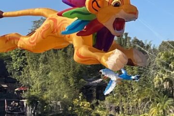 Simba: Kite Tails. Disney's Animal Kingdom.
