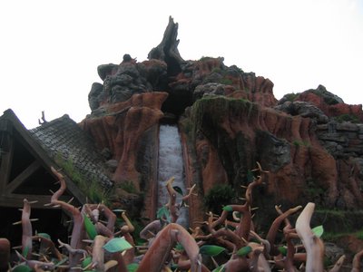 Splash Mountain is great, wet fun.