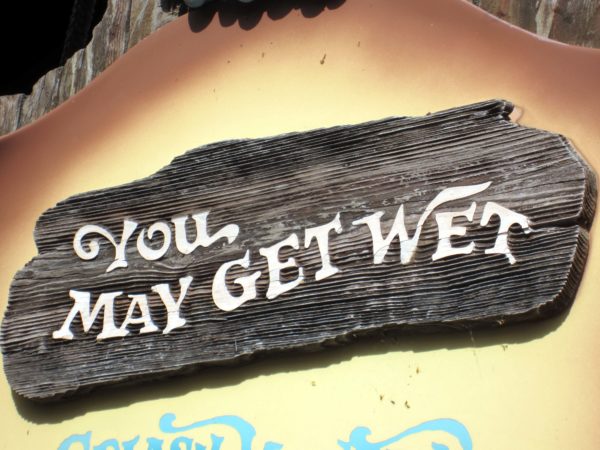 Splash Mountain has a long and winding history.