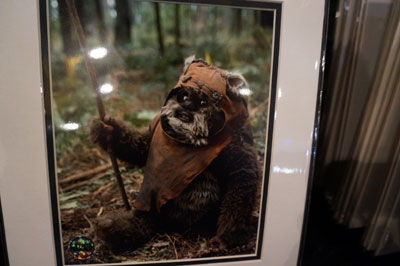 Fun Ewok photo for sale.