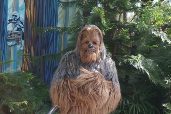 Meet Chewbacca at Star Wars Launch Bay!