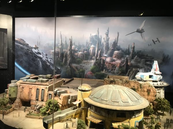 Overview of the model.