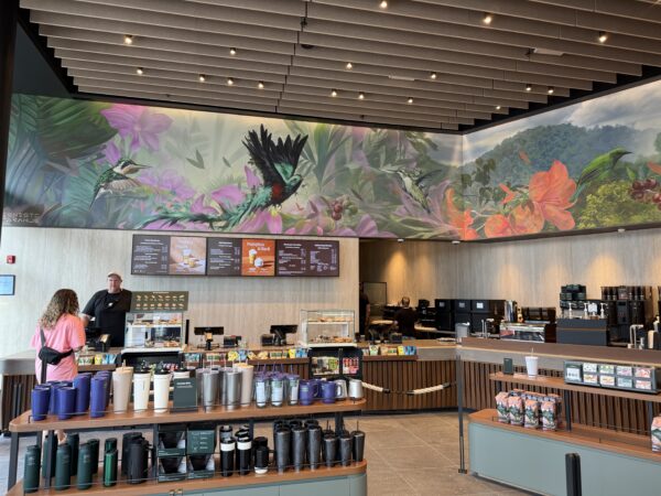 Tropical images welcome you.